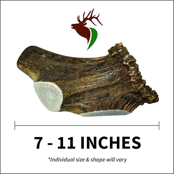 Giant Split Single Pack (for 75+ lb Dogs) Premium Grade Elk Antler for Dogs (1 Piece) Sourced in The USA