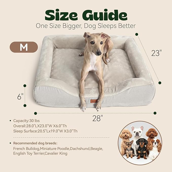 Aesthetic Dog Bed for Mediun Size Dogs Orthopedic with Cooling Gel Memory Foam Waterproof,Comfort Cute Cat Couch for Indoor Cats with Removable Washable Cover for Old Pet with Joint Pain