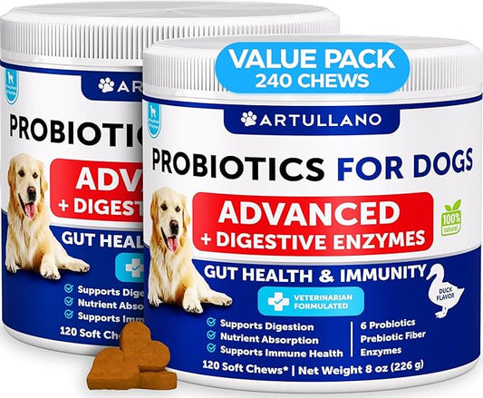 (2 Pack) Probiotics for Dogs - Chews for Gut Health, Itchy Skin, Allergies, Immunity, Yeast Balance - 6 Dog Probiotics, Digestive Enzymes with Prebiotic Fiber - Reduce Diarrhea, Gas - 240 Soft Treats