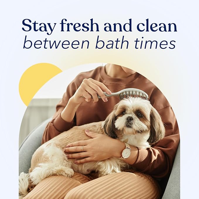 Honest Paws Dog Dry Shampoo - Waterless No Rinse Spray Formula Reducing Itch Cleanse Hydrate Nourish Dry Skin and Smelly Coat Help Decrease Odor Shedding and Allergies - Mandarin & Berry - 8 oz