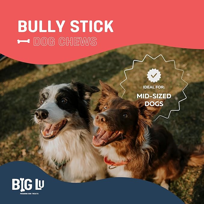Big Lu - 6” Bully Sticks, 12 Count, Long-Lasting, Low-Odor, 100% Grass-Fed Beef Chews for All Dog Breeds, Natural Single-Ingredient, Fully Digestible Treats