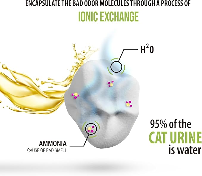 Skoon All Natural Cat Litter (2 Bags) - Fine Grain - Lightweight, Low Tracking, Non-Clumping Diatom Pebbles Absorb, Lock, and Seal Waste for Best Odor Control - Self-Cleaning Box Compatible