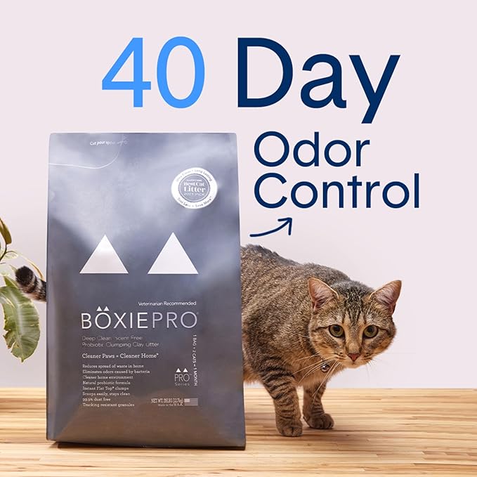 Boxie® Probiotic 40 Day Natural Odor Control Cat Litter, 16lb Clumping Clay Kitty Litter (Pack of 2)