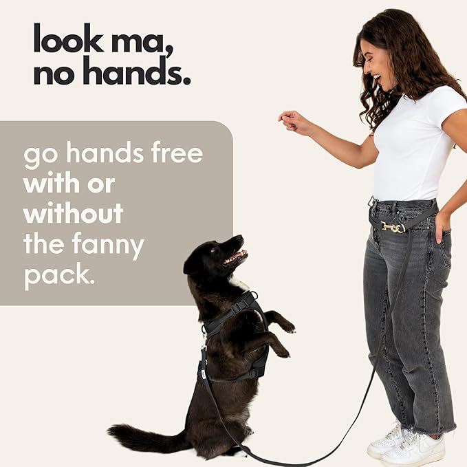 elby - Hands Free Dog Leash with Treat Pouch - Dog Walking Accessories - Dog Training Leash with Fanny Pack - Dog Accessories and Walking Essentials - Medium and Large Dogs (Black, Regular)