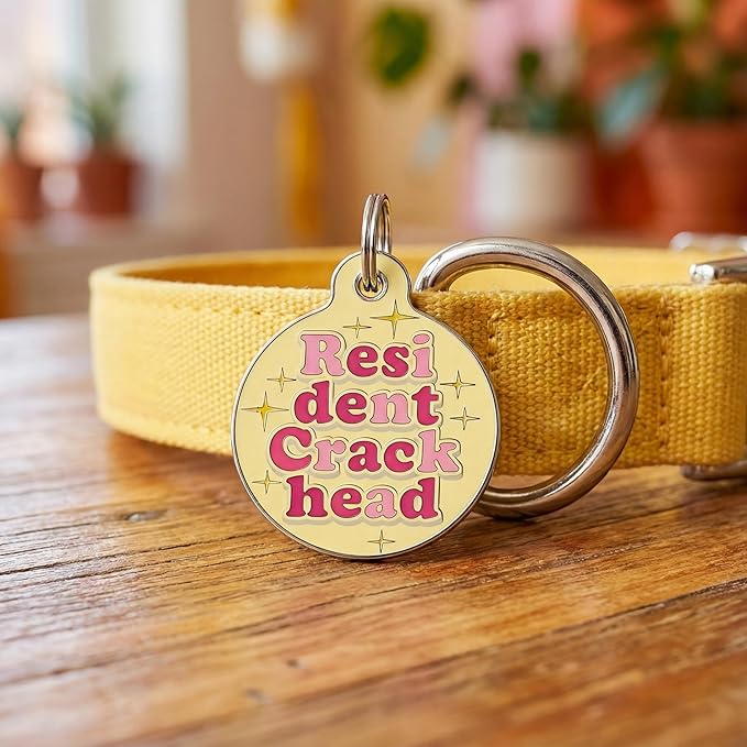 Bad Tags Personalized Dog & Cat ID Tags - Choose from 25+ Tag Designs - Free 5 Lines Custom Engraved - Unique, Cute, Funny, Sassy Pet Tag (Resident Crackhead - Yellow, Small (1 inch))