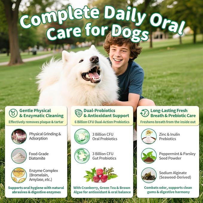 Dog Dental Powder – Teeth Cleaning Powder with 6B CFU Probiotics, Enzymes & Antioxidants, Plaque & Tartar Off, Fresh Breath Support, No Brushing Oral Care, Mint Chicken Flavor, 75 Servings