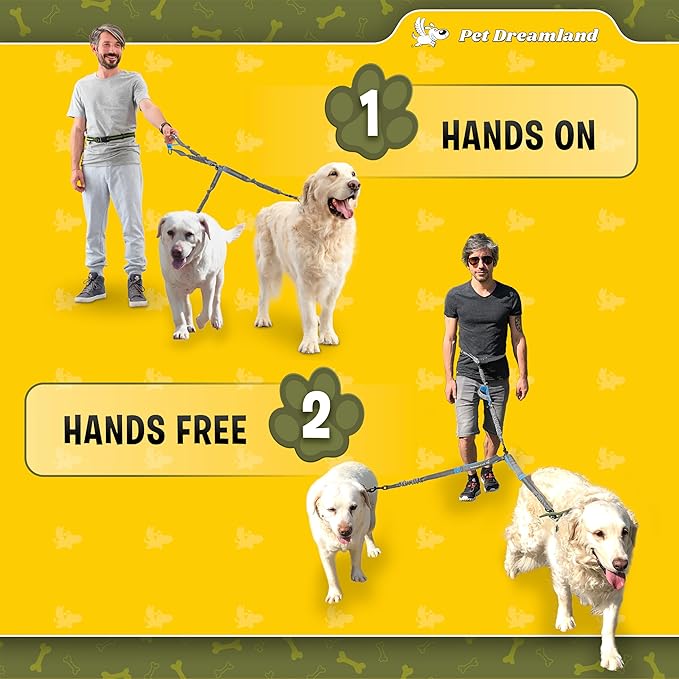 Pet Dreamland Exquisite Hands Free Dual Dog Leash with Tangle-Free Swivel for Large Dogs. Waist Leash for Running with Two Dogs. You Will Absolutely Love This Amazing Dog Walking Belt (Grey and Blue)
