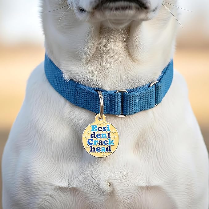 Bad Tags Personalized Dog & Cat ID Tags - Choose from 25+ Tag Designs - Free 5 Lines Custom Engraved - Unique, Cute, Funny, Sassy Pet Tag (Resident Crackhead - Orange, Small (1 inch))