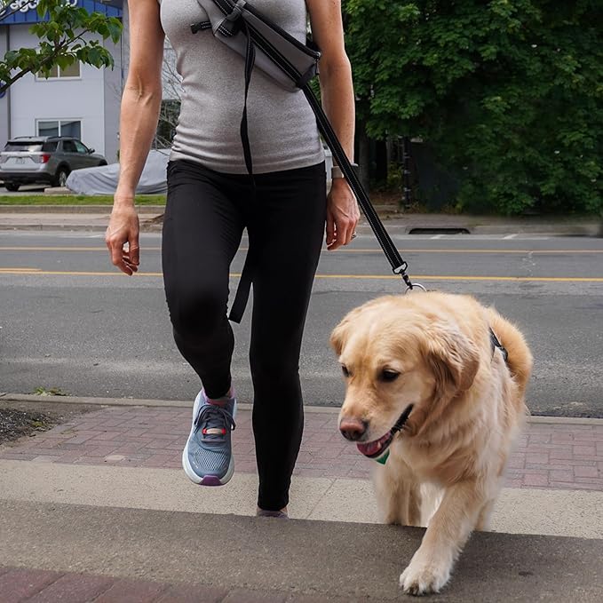 5-in-1 Reflective Cross-Body Dog Leash System, Hands-Free Design with Storage Pouch, Car Restraint, Hoist Support for Walking, Night Safety