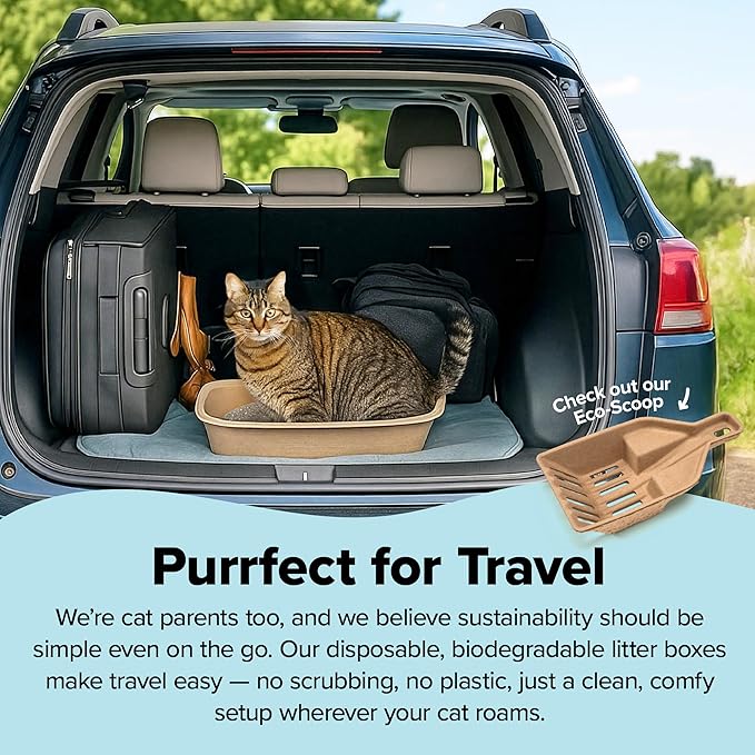 Kitty Sift Disposable Cat Litter Box Large, 6 Count, Durable Portable for Travel and Home, Eco-Friendly Disposable Litter Box Controls Odor
