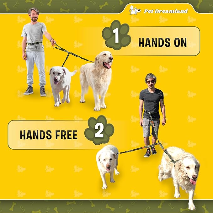 Pet Dreamland Exquisite Hands Free Double Dog Leash for Two Dogs with Tangle-Free Swivel. Premium Quality & Versatile for Running. You Will Absolutely Love This Amazing Waist Leash (Khaki & Orange)