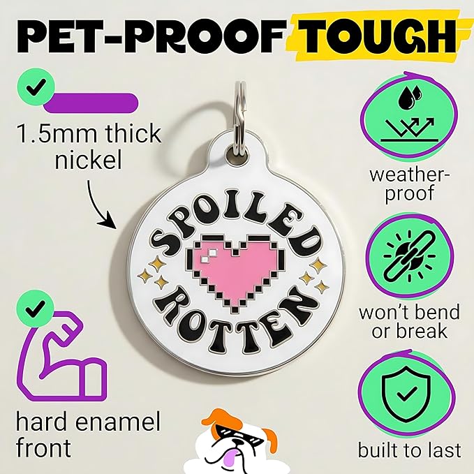 Bad Tags Personalized Dog & Cat ID Tags - Choose from 25+ Tag Designs - Free 5 Lines Custom Engraved - Unique, Cute, Funny, Sassy Pet Tag (Spoiled Rotten, Large (1.25 inch))