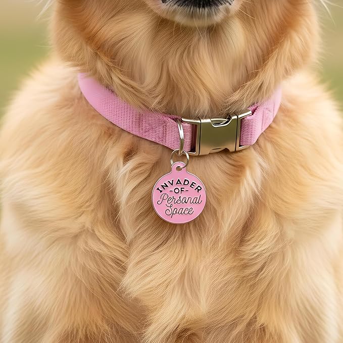 Bad Tags Personalized Dog & Cat ID Tags - Choose from 25+ Tag Designs - Free 5 Lines Custom Engraved - Unique, Cute, Funny, Sassy Pet Tag (Invader of Personal Space - Pink, Large (1.25 inch))