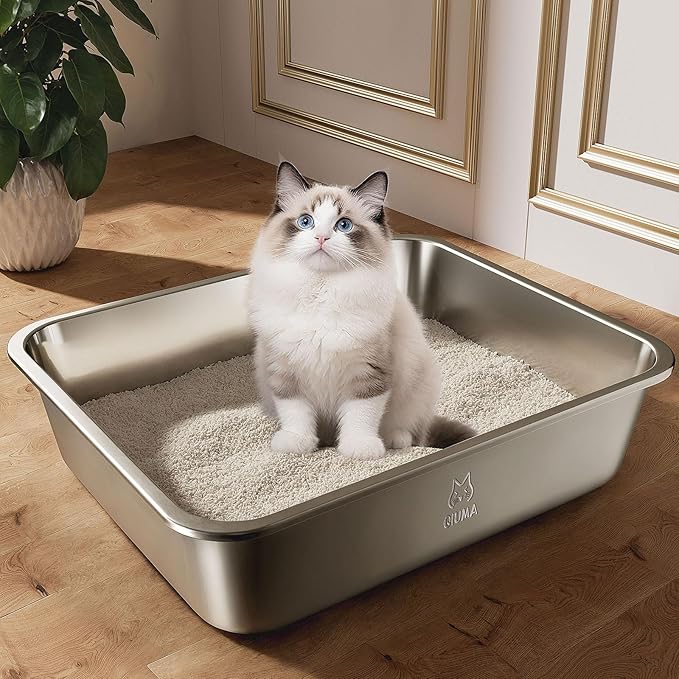 Stainless Steel Litter Box, Metal Cat Litter Box for Small to Medium Cats, Odor-Free, Non-Stick, Easy to Clean, 17.5"×13.6"×3.9", Low Entry for Kittens, Seniors, or Injured Cats