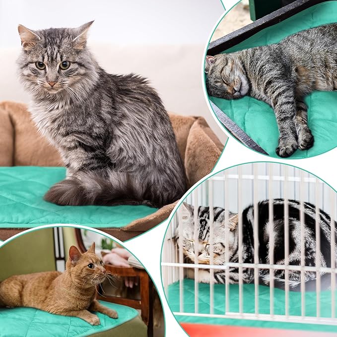 4 Pack Self Heating Cat Pad Self Warming Dog Mat Reflects Body Heat Extra Warm Thermal Pet Pad Washable Dog Cat Bed Crate Bed Mat Blanket (16 x 20 Inch,Mint Blue)