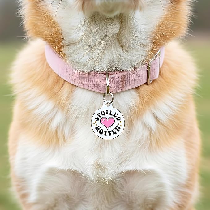 Bad Tags Personalized Dog & Cat ID Tags - Choose from 25+ Tag Designs - Free 5 Lines Custom Engraved - Unique, Cute, Funny, Sassy Pet Tag (Spoiled Rotten, Large (1.25 inch))