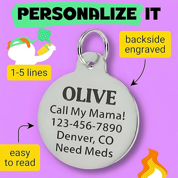 Bad Tags Personalized Dog & Cat ID Tags - Choose from 25+ Tag Designs - Free 5 Lines Custom Engraved - Unique, Cute, Funny, Sassy Pet Tag (I'm The Reason We Can't Have Nice Things, Large (1.25 inch))