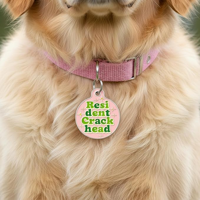 Bad Tags Personalized Dog & Cat ID Tags - Choose from 25+ Tag Designs - Free 5 Lines Custom Engraved - Unique, Cute, Funny, Sassy Pet Tag (Resident Crackhead - Pink, Small (1 inch))