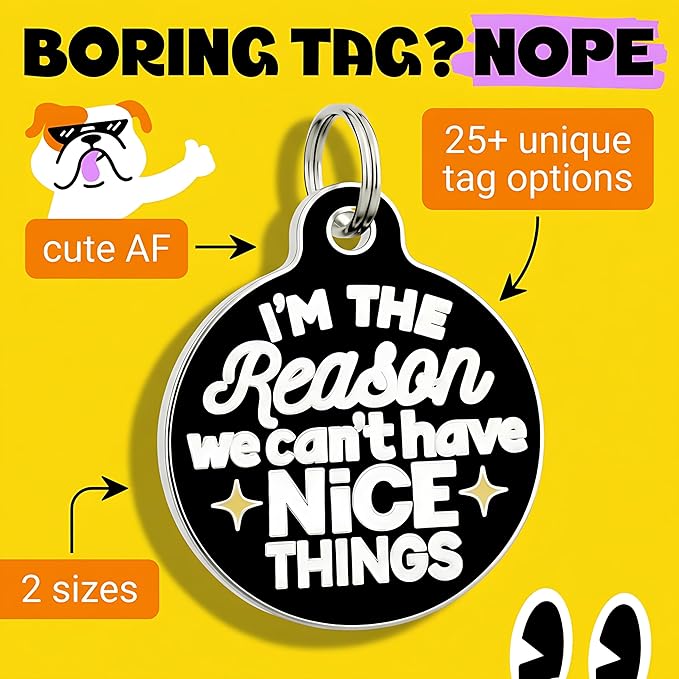 Bad Tags Personalized Dog & Cat ID Tags - Choose from 25+ Tag Designs - Free 5 Lines Custom Engraved - Unique, Cute, Funny, Sassy Pet Tag (I'm The Reason We Can't Have Nice Things, Large (1.25 inch))