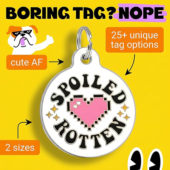 Bad Tags Personalized Dog & Cat ID Tags - Choose from 25+ Tag Designs - Free 5 Lines Custom Engraved - Unique, Cute, Funny, Sassy Pet Tag (Spoiled Rotten, Large (1.25 inch))