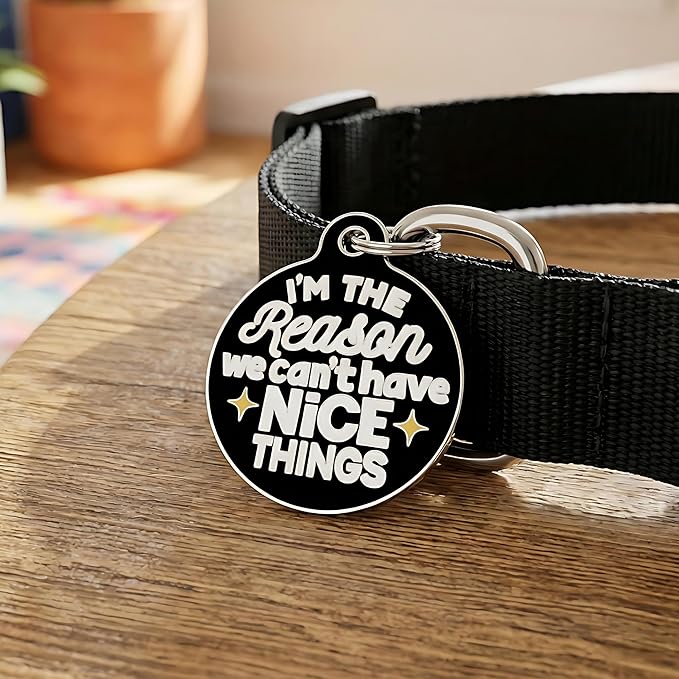 Bad Tags Personalized Dog & Cat ID Tags - Choose from 25+ Tag Designs - Free 5 Lines Custom Engraved - Unique, Cute, Funny, Sassy Pet Tag (I'm The Reason We Can't Have Nice Things, Large (1.25 inch))