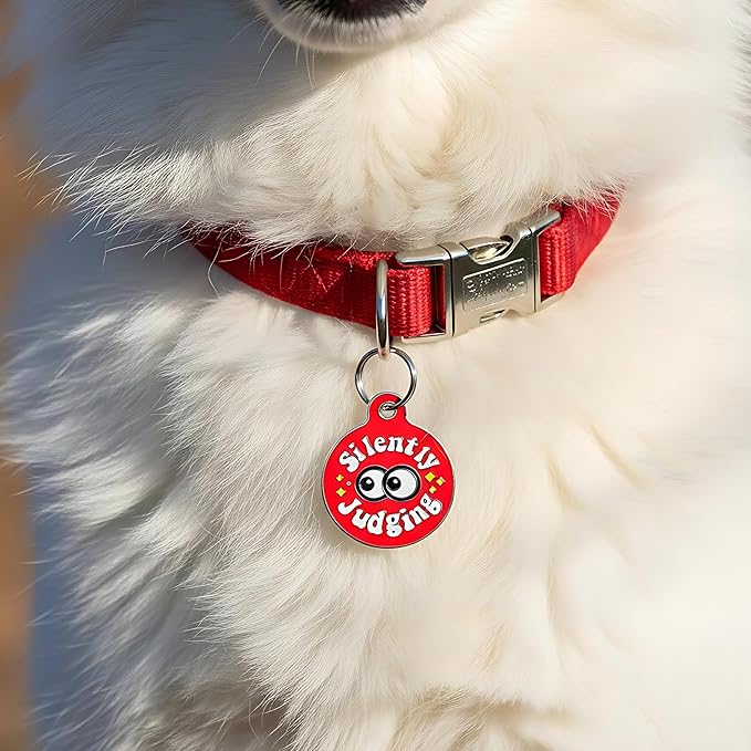 Bad Tags Personalized Dog & Cat ID Tags - Choose from 25+ Tag Designs - Free 5 Lines Custom Engraved - Unique, Cute, Funny, Sassy Pet Tag (Silently Judging - Red, Small (1 inch))