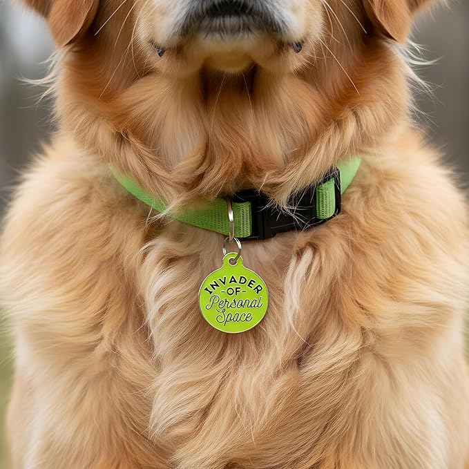 Bad Tags Personalized Dog & Cat ID Tags - Choose from 25+ Tag Designs - Free 5 Lines Custom Engraved - Unique, Cute, Funny, Sassy Pet Tag (Invader of Personal Space - Green, Large (1.25 inch))