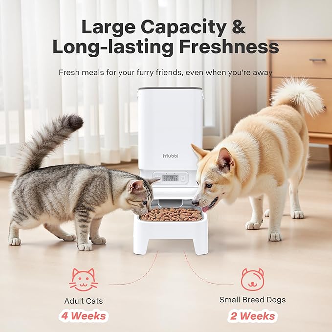 Automatic Cat Feeder, Elevated Stand for Neck Health, 7L Automatic Dog Feeder, Cat Food Dispenser, No-Jam, Up to 6 Meals for 2-15 mm Dry Food, Stainless Steel Bowl, No Spinal Pressure
