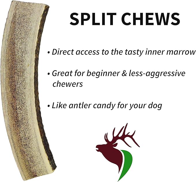 Small Split Single Pack (for 0-20 lb Dogs and Puppies) Premium Grade Elk Antler for Dogs (1 Piece) Sourced in The USA
