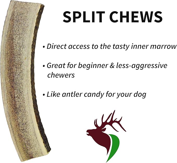 X Small Split 5 Pack (for 0-10 lb Dogs and Puppies) Premium Grade Elk Antlers for Dogs (5 Pieces) Sourced in The USA