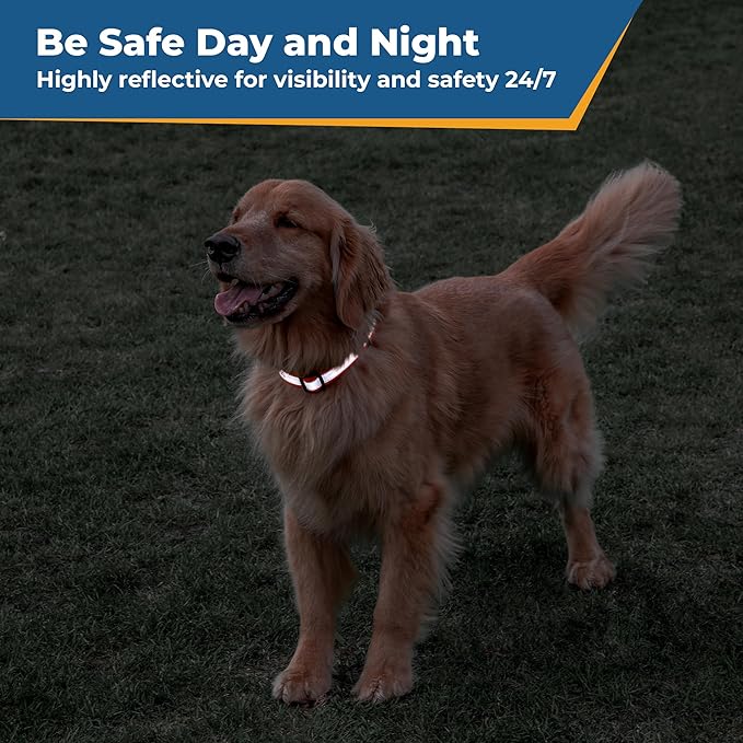 GoTags Reflective Personalized Dog Collar, Custom Embroidered with Pet Name and Phone Number in Red for Boy and Girl Dogs, 3 Adjustable Sizes, Small, Medium, and Large