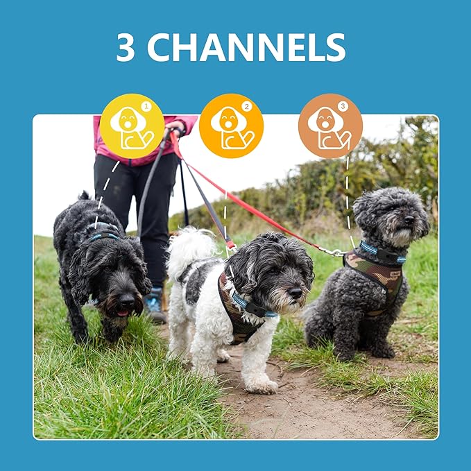 Dog Shock Collar with Remote Control - 3300Ft Dog Training Collar for Dogs 60-100lbs Waterproof, Adjustable E Collar Beep Shock Vibration Modes with Flash Light for Small Medium Large Dogs