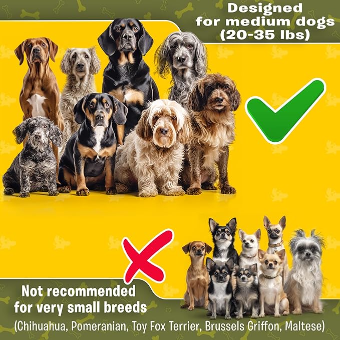 Pet Dreamland Exquisite Double Dog Coupler No Tangle Swivel for Two Medium Dogs. Premium Quality Attachment for Easy Dog Walking. You Will Absolutely Love This Amazing Gear (Black & Green)