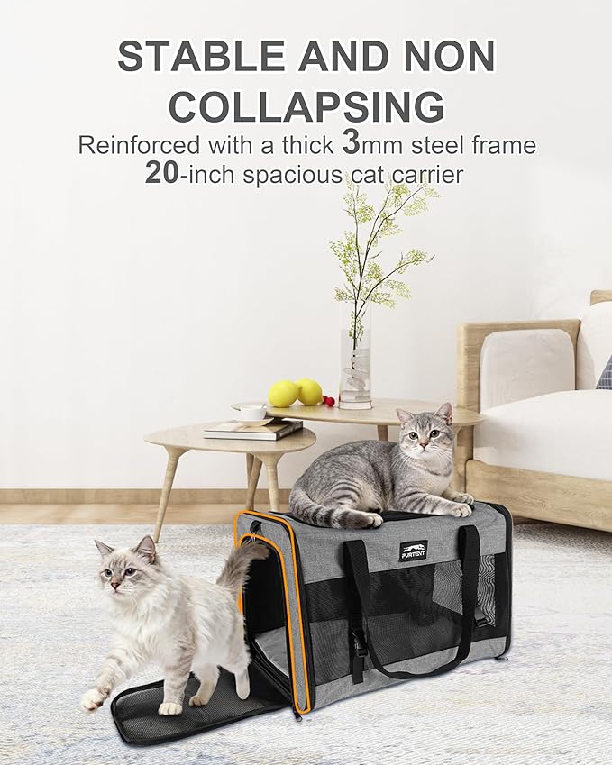 Soft-Sided Large Cat Carrier for 2 Cats, Spacious Foldable Pet Travel Carrier for Large Cats up to 25 Lbs, Double Cat Bag with Shoulder Strap, 20x13x13 Inch, Fits Maine Coon and Small Dogs, Grey