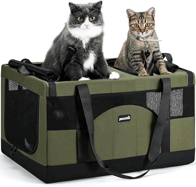 Pecute Cat Carrier for 2 Cats,Dual Cabin Multi Cat Travel Carrier with Removable Divider and Sturdy Frame,Collapsible,Soft,can Hold 20lbs+ for 2 Small Kitten,Medium Dog,Extra Large for Travel,Green