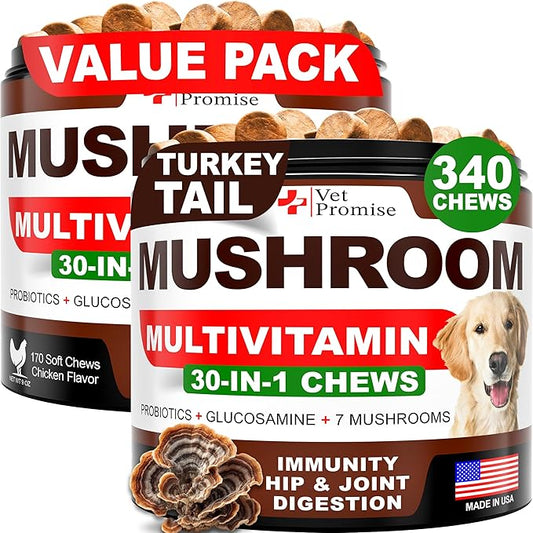 (2 Pack) Turkey Tail Mushroom for Dogs - 340 Chews - Mushroom Supplement for Dogs - Lions Mane - Reishi - Immunity Support Multivitamin Vitamins - Joint Health - Energy - Gut - Skin - Made in USA