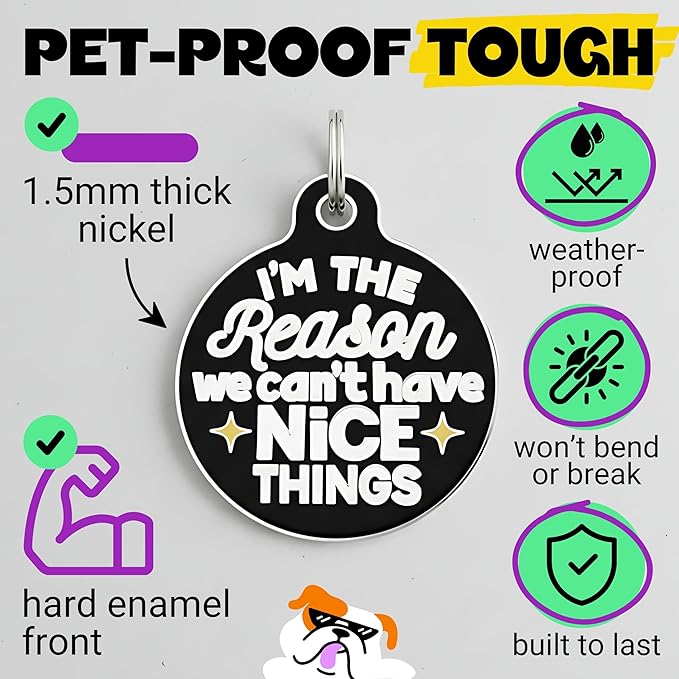 Bad Tags Personalized Dog & Cat ID Tags - Choose from 25+ Tag Designs - Free 5 Lines Custom Engraved - Unique, Cute, Funny, Sassy Pet Tag (I'm The Reason We Can't Have Nice Things, Large (1.25 inch))