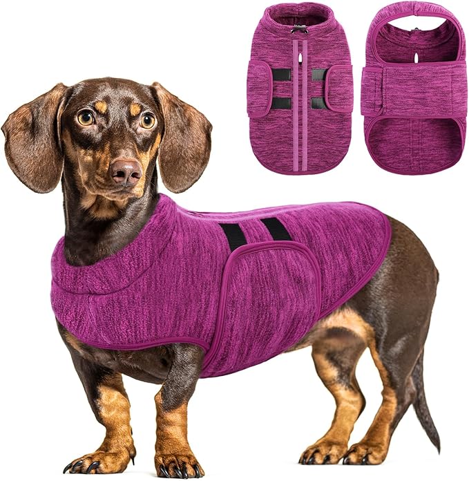 Queenmore Small Dog Sweaters, Soft Fleece Vest Pullover Dog Jacket with Leash Hole, Warm Winter Dogs Clothes Cold Weather Doggy Dachshund Sweater for Small Doggy Cats Boy or Girl (Cationic Berry, S)