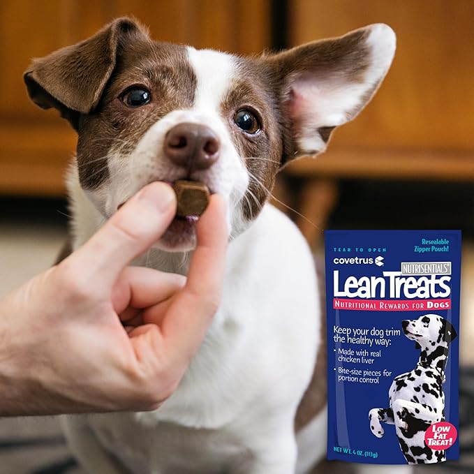 Butler Covetrus Nutrisential Lean Treats for Dogs - Small, Medium & Large Dogs (K9) - Nutritional Low Fat, Bite-Size - Soft Chicken Flavor - 6 Pack - 4oz