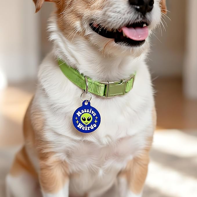 Bad Tags Personalized Dog & Cat ID Tags - Choose from 25+ Tag Designs - Free 5 Lines Custom Engraved - Unique, Cute, Funny, Sassy Pet Tag (Massive Weirdo, Small (1 inch))