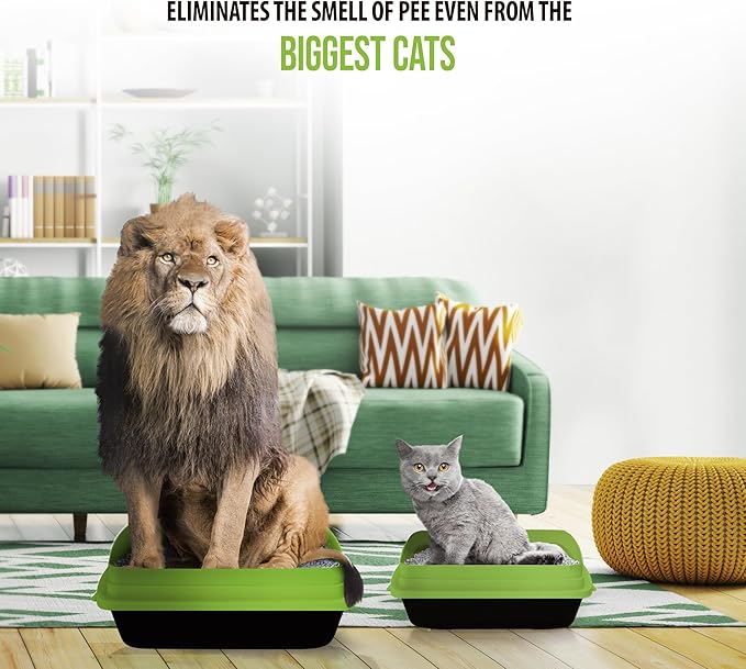 Skoon All Natural Cat Litter (2 Bags) - Fine Grain - Lightweight, Low Tracking, Non-Clumping Diatom Pebbles Absorb, Lock, and Seal Waste for Best Odor Control - Self-Cleaning Box Compatible