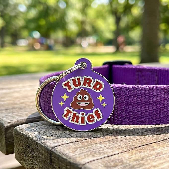 Bad Tags Personalized Dog & Cat ID Tags - Choose from 25+ Tag Designs - Free 5 Lines Custom Engraved - Unique, Cute, Funny, Sassy Pet Tag (Turd Thief, Large (1.25 inch))
