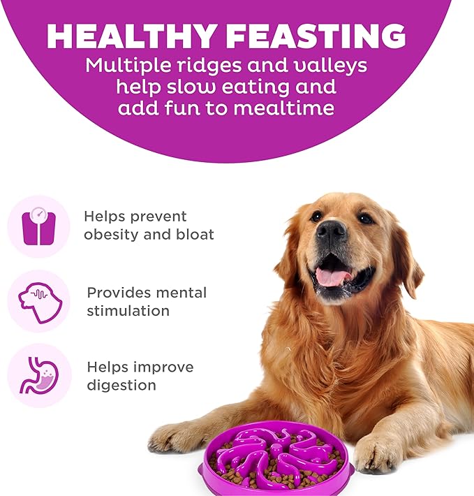 Outward Hound Slow Feeder Dog Bowl – Prevents Bloating & Fast Eating – Large 4 Cup Purple Flower