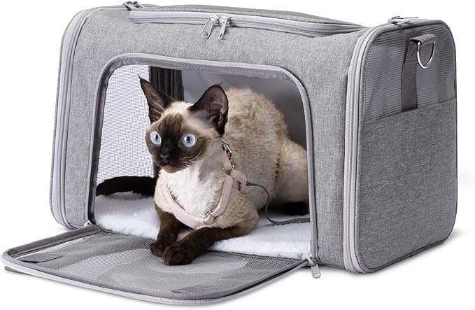 Amazon Basics Soft Cat & Dog Carrier with Adjustable Shoulder Strap, Airline-Approved, Foldable and Portable Design, Mesh Ventilation