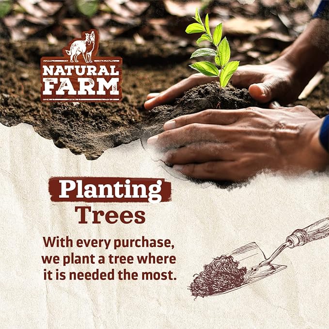 Natural Farm Power Bully Sticks Dog Chews (12”, 5-Pack), 2-in-1 Power Chews: Premium Beef Cheek Wrapped in Beef Pizzle, Great Dog Dental Treats, for Small, Medium & Large Dogs