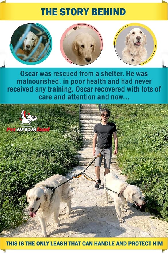 Pet Dreamland Exquisite Double Dog Leash Coupler with Tangle-Free Swivel. Premium & Versatile Attachment for Walking Two Dogs. You Will Absolutely Love This Amazing Dual Dog Coupler (Khaki & Orange)