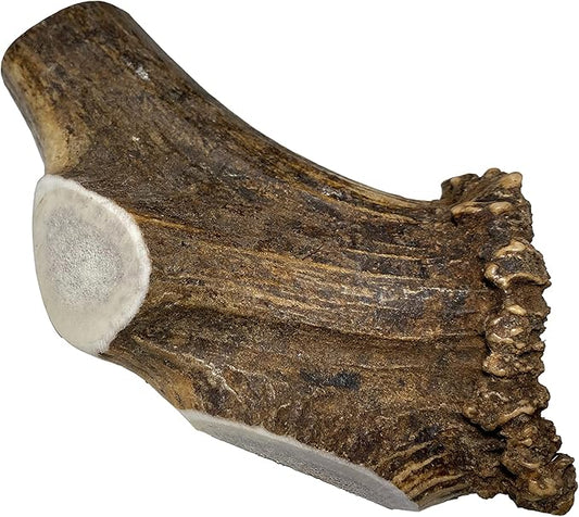 Giant Split Single Pack (for 75+ lb Dogs) Premium Grade Elk Antler for Dogs (1 Piece) Sourced in The USA
