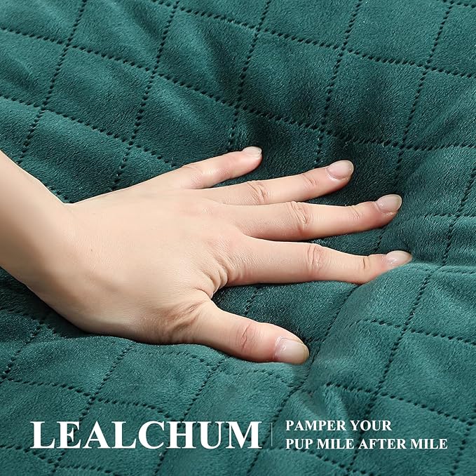 Dog Car Seat for Medium/Large Dogs,2 Clip-On Safety Leashs for 2 Small Dogs,Removable and Washable Comfy Pet Car Seat,Easy to Install and Clean (Green, Large)