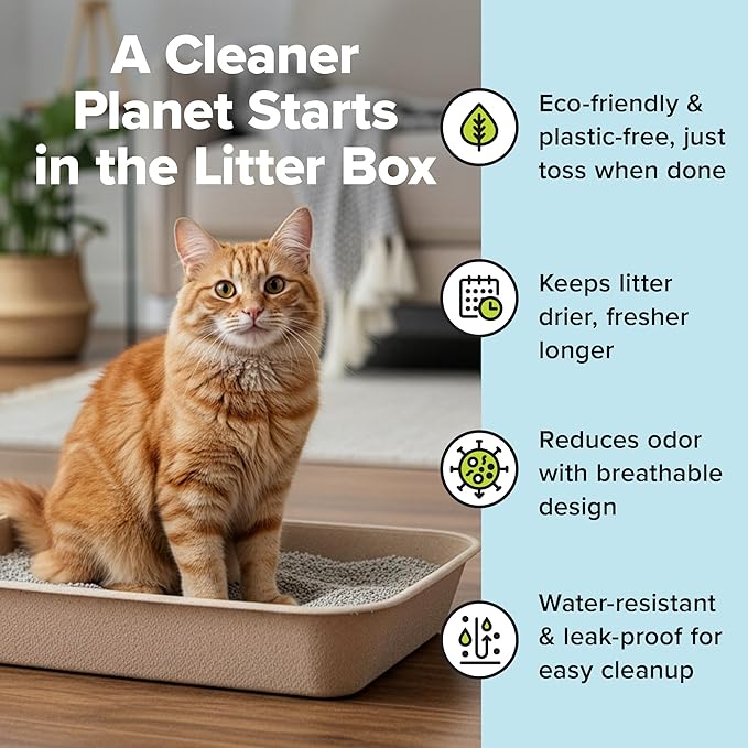 Kitty Sift Disposable Cat Litter Box Large, 6 Count, Durable Portable for Travel and Home, Eco-Friendly Disposable Litter Box Controls Odor