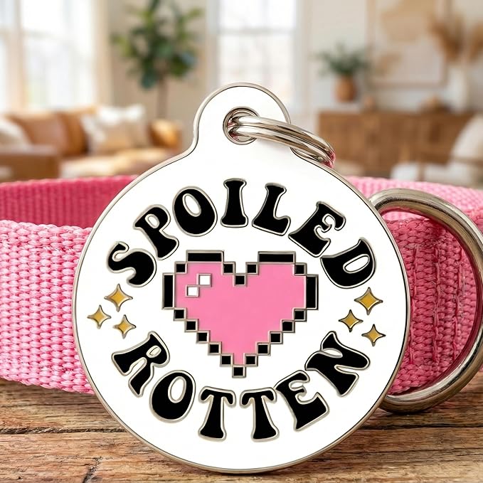 Bad Tags Personalized Dog & Cat ID Tags - Choose from 25+ Tag Designs - Free 5 Lines Custom Engraved - Unique, Cute, Funny, Sassy Pet Tag (Spoiled Rotten, Small (1 inch))